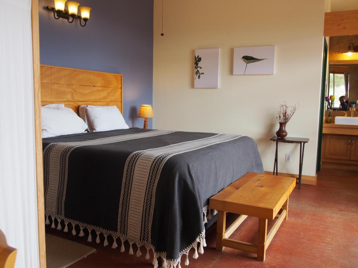 Casa Mayoral B&B Pet Friendly Valle de Guadalupe Exterior foto